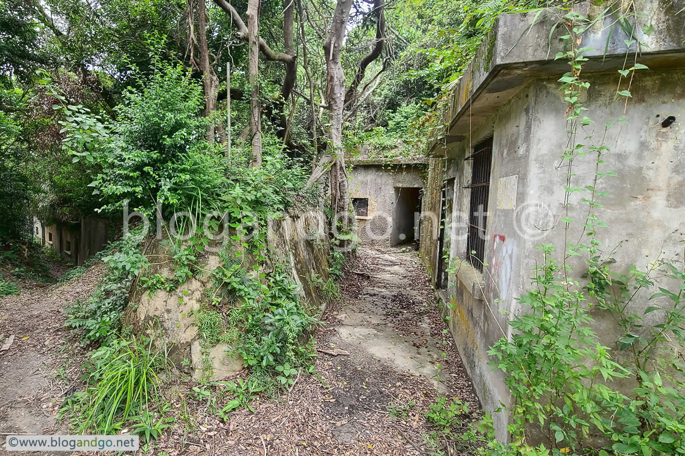 Mount Davis Battery - Anti-Aircraft Position